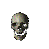 Calavera.gif (15755 bytes)